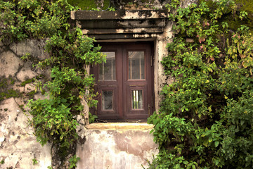 an old brick wall with a frame of a window laid with bricks overgrown with green ivy plants