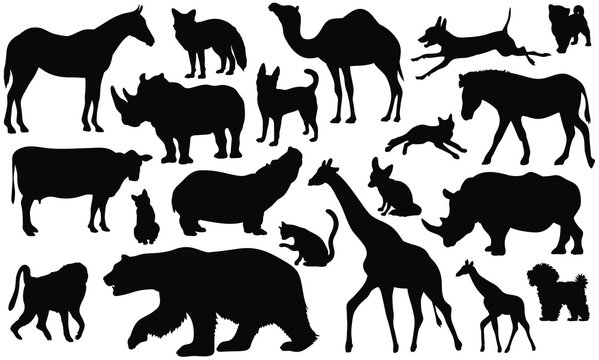 Set of 20 animals silhouettes isolated on white background. Animals vector illustrations.