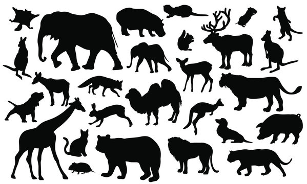 Set of 27 animals silhouettes on white background. Animals vector illustrations.