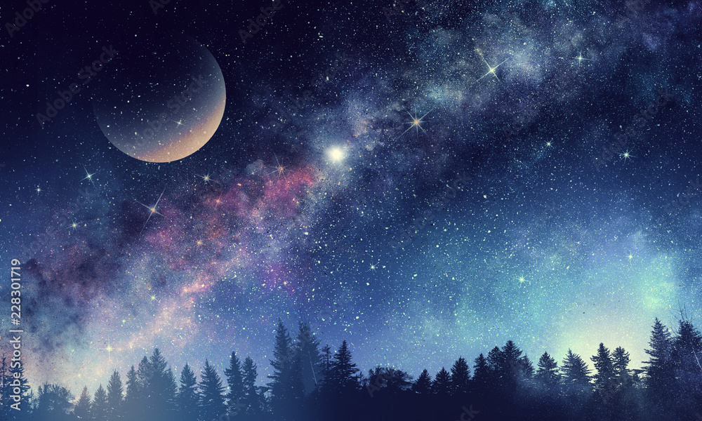 Wall mural full moon in night starry sky