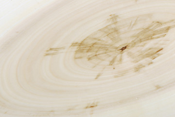 Closeup background of year rings texture of the unique relict ash tree (Fraxinus sogdiana) grown in the Sharyn canyon, Kazakhstan.