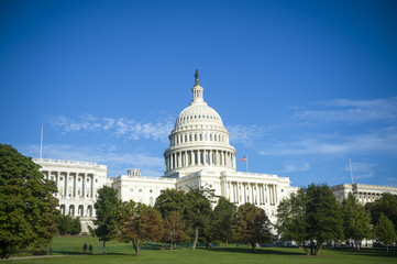 Portrait of the US Capitol building with fresh green grass under bright blue summer sky in Washington DC, USA