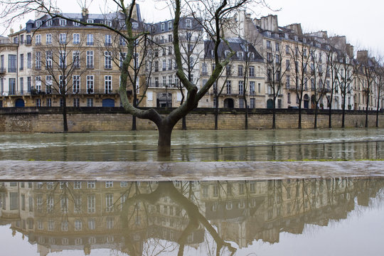 France, Paris, department 75, 4th arrondissement, ile Saint-Louis, drop in the water level of the Seine, February 2018.