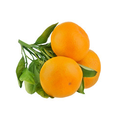 Tangerines on branch with green leaves on a white background isolated close up