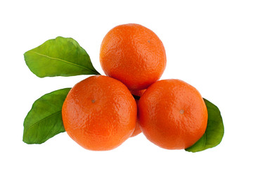 Mandarins with green leaves on a white background isolated closeup