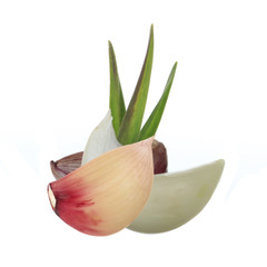 heap of cloves of garlic with green leaves isolated on white background