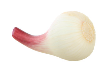 young garlic isolated on white background