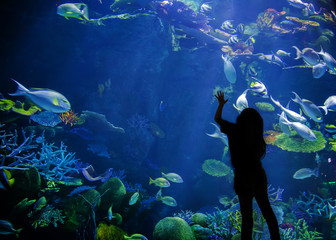 asian look up on underwater aquarium