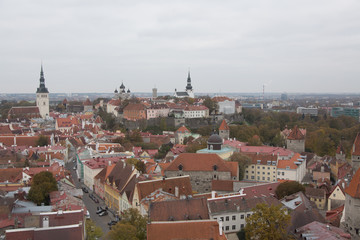 Fototapeta premium roofs of Tallinn old town