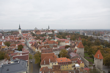 Obraz premium roofs of Tallinn old town