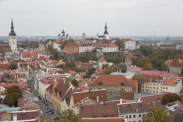 Obraz premium dachy starego miasta w Tallinie