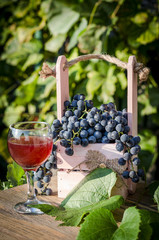 grapes and grape juice