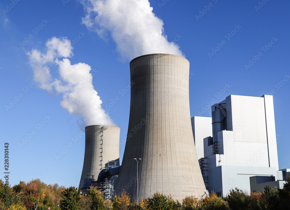 Wall mural brown cole power station