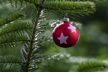 Christbaumschmuck an einem Grünen saftigem Tannenzweig