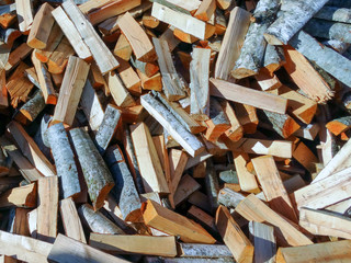 Birch wood pollen illuminated by the sun