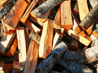 Birch wood pollen illuminated by the sun