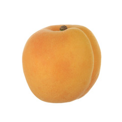apricot isolated