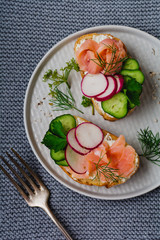 Sandwiches with smoked pink salmon, radish, cucumber and cream cheese on gray ceramic plate and textile background. Traditional Scandinavian toast. Top view.