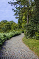 botanical park with a set of trees