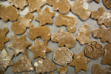Tray of traditional Christmas ginger cookies, raw cookies in different shapes, bells, boots, snowman, stars, christmas tree, cats paws. Top view, close up.
