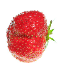 One ripe strawberry on a white background