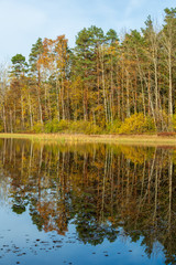 Liten insjö med skog i höstfärger