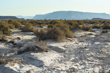 Loneliness and emptiness of the desert