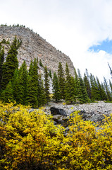 秋のカナディアンロッキー　ビッグ・ビーハイブと黄葉　レイク・ルイーズ周辺（バンフ国立公園　カナダ・アルバータ州）