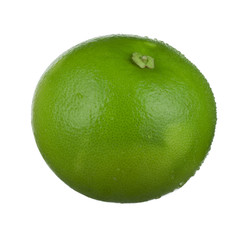 green oroblanco isolated on white background