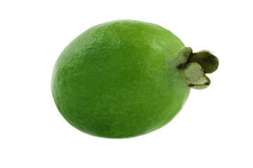 fresh feijoa isolated on white background