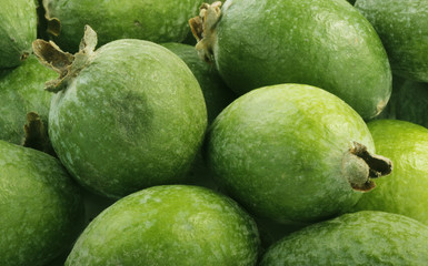 green fresh feijoa background