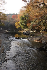 日本の河原と紅葉