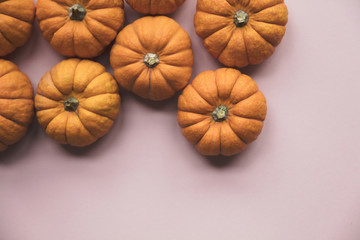 Autumn pumpkins on a pastel pink background