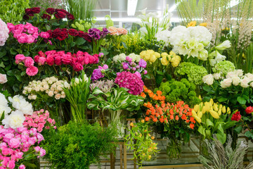 Fototapeta na wymiar Many flowers in florist shop