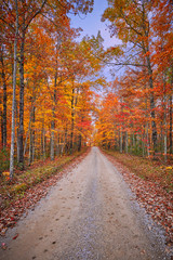 Fototapeta na wymiar Gravel Road with Fall Leaves