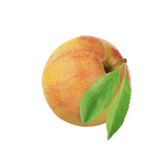 yellow apple with green leaves  isolated on white background