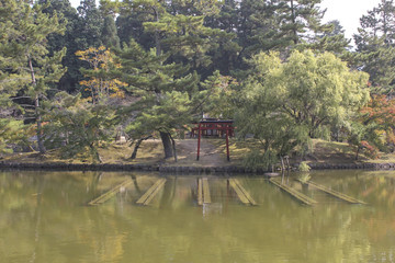 Obraz premium Japanese garden with torii