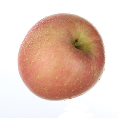 pink apple isolated on white background