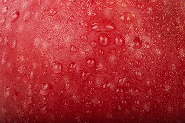 red fresh apple with water drops background