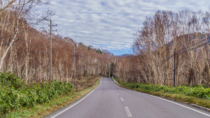 秋の志賀高原の風景