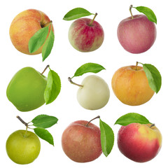 set of apples isolated on white background