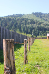 wooden fence