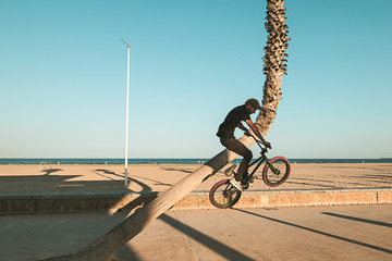 Guy riding and jumping with a bmx bike