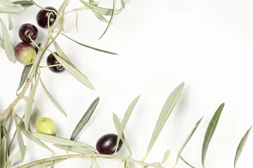 Crédence de cuisine en verre imprimé Olivier olive tree twig