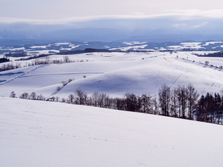 Fototapeta na wymiar 真冬の丘