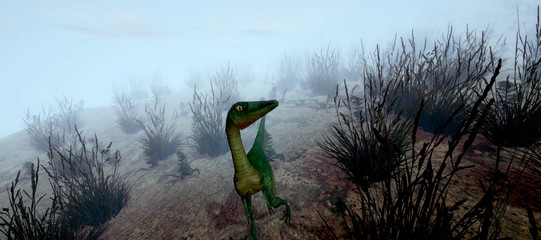 Extremely detailed and realistic high resolution 3d illustration of a Compsognathus Dinosaur in the...