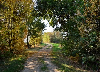 Herbstspaziergang