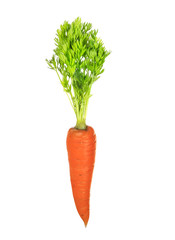 orange carrot isolated on white background
