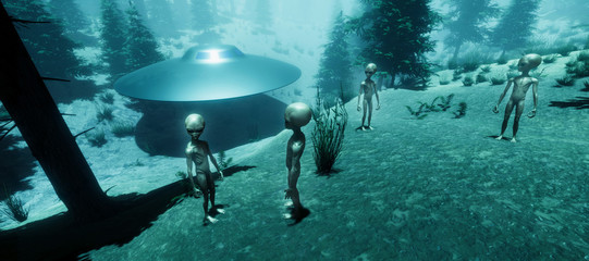 Extremely detailed and realistic high resolution 3d illustration of a Grey Alien standing in a forest © Sasa Kadrijevic
