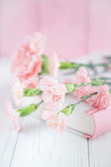 Fototapeta na wymiar Pink carnation flowers and book on a white and pink wooden background. Free space